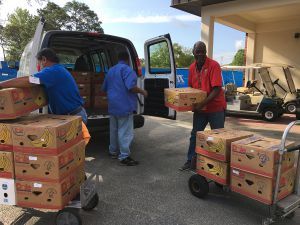 mannacovid-300×225 decorative image of mannacovid-300×225-1 , Manna Food Pantries increases support for Pensacola State College students in need 2020-08-05 08:42:54