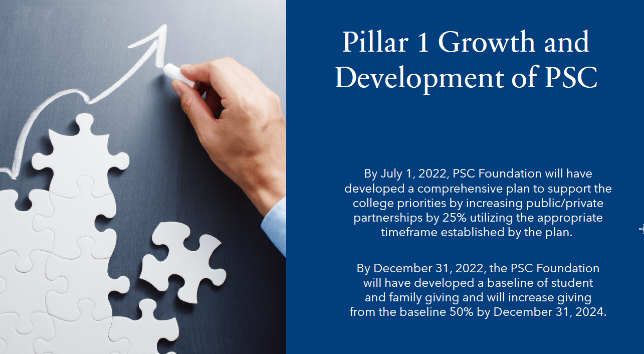 decorative image of pillar1 , The Foundation’s Strategic Plan for 2022 and beyond 2021-12-13 14:31:35