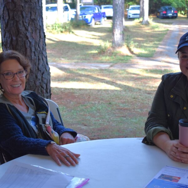 decorative image of DSC_0753 ,   2023-10-16 15:31:25