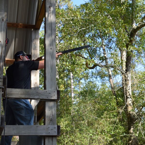 decorative image of DSC_0801 ,   2023-10-16 15:32:09