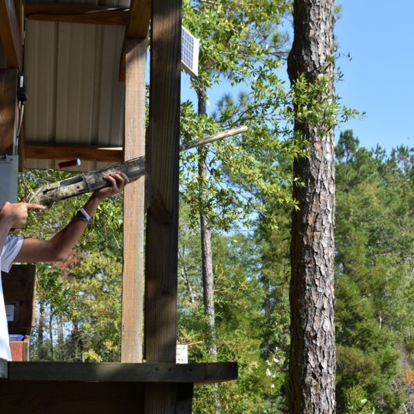 decorative image of DSC_0823 ,   2023-10-16 15:32:21