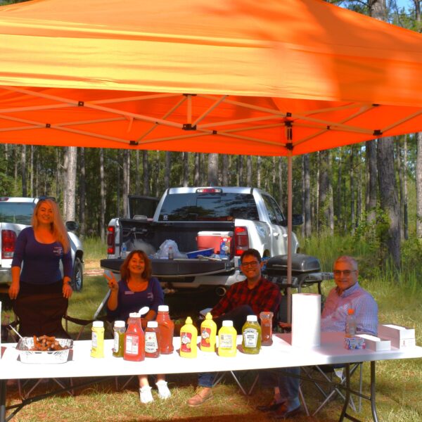 decorative image of DSC_0832 ,   2023-10-16 15:32:34