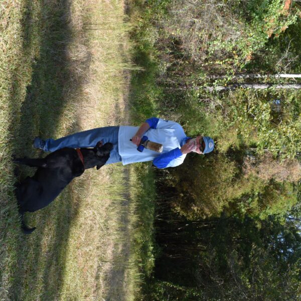 decorative image of DSC_0853 ,   2023-10-16 15:32:51