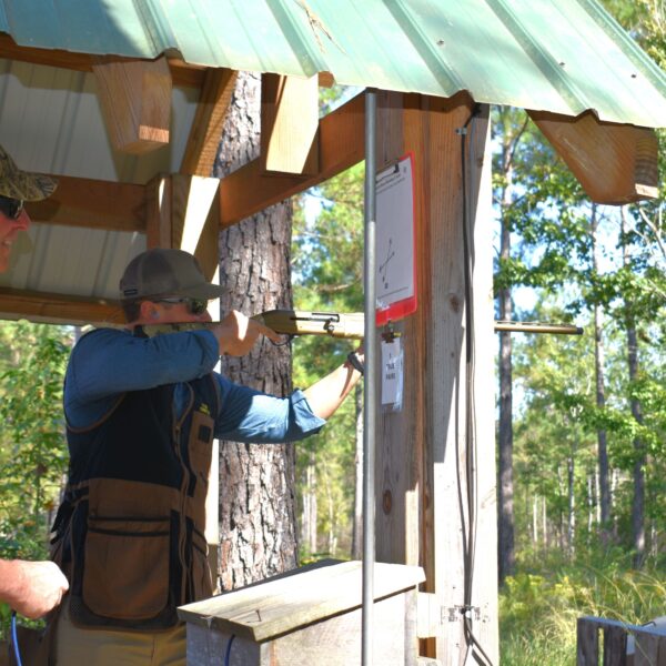 decorative image of DSC_0871 ,   2023-10-16 15:33:09