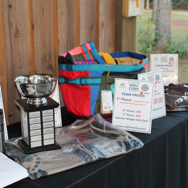 decorative image of IMG_3920 ,   2023-10-16 15:45:25