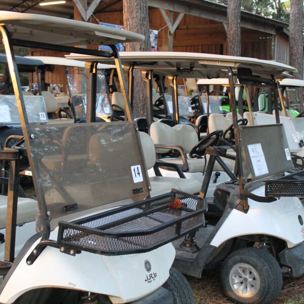 decorative image of IMG_3921 ,   2023-10-16 15:46:03