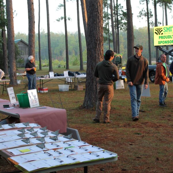 decorative image of IMG_3922 ,   2023-10-16 15:46:20