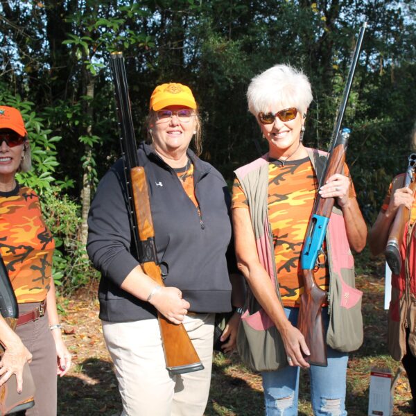 decorative image of IMG_3944 ,   2023-10-16 15:46:51