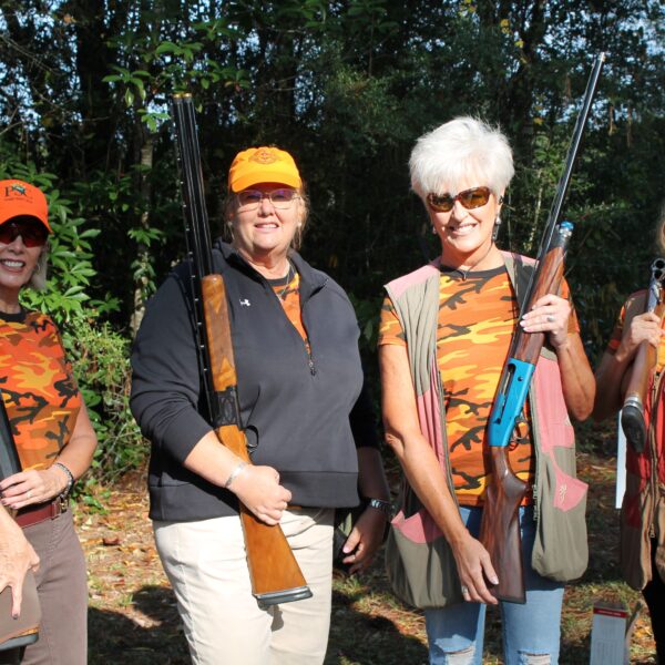 decorative image of IMG_3945 ,   2023-10-16 15:46:52