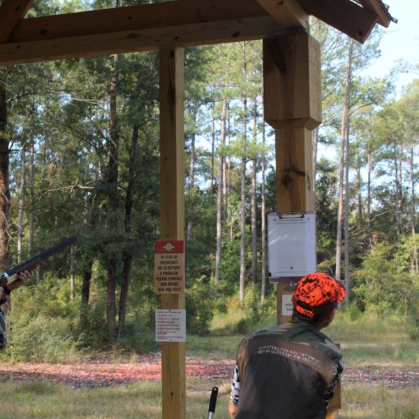 decorative image of IMG_3965 ,   2023-10-16 15:47:19