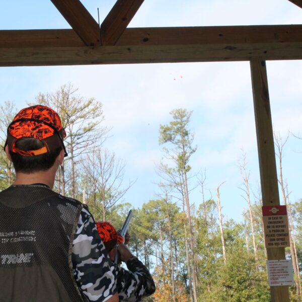 decorative image of IMG_3966 ,   2023-10-16 15:47:21