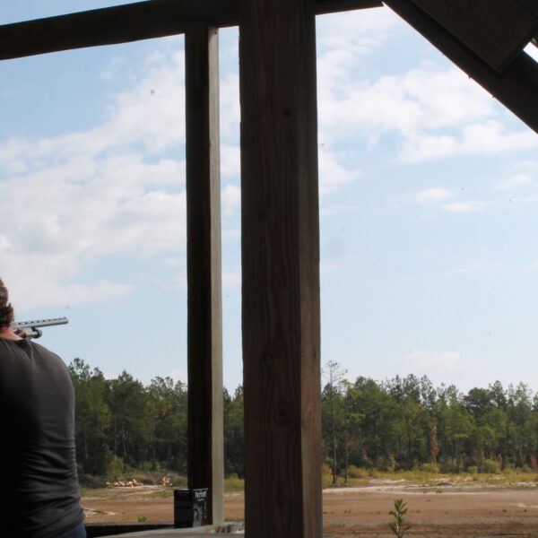 decorative image of IMG_3976 ,   2023-10-16 15:47:33