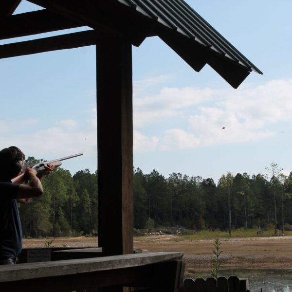 decorative image of IMG_3981 ,   2023-10-16 15:47:36