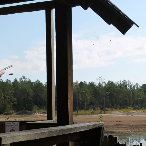 decorative image of IMG_3983 ,   2023-10-16 15:47:37