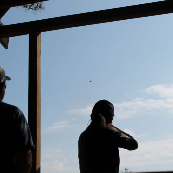 decorative image of IMG_3994 ,   2023-10-16 15:47:50