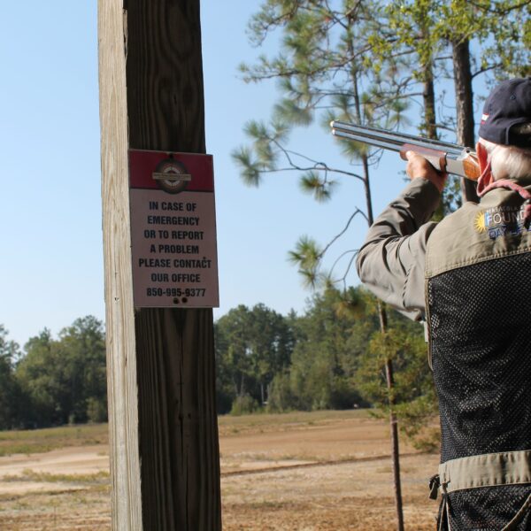 decorative image of IMG_4054 ,   2023-10-16 15:49:07