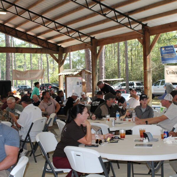 decorative image of IMG_4099 ,   2023-10-16 15:50:26