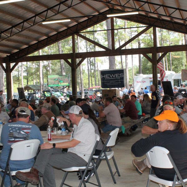 decorative image of IMG_4119 ,   2023-10-16 15:50:55