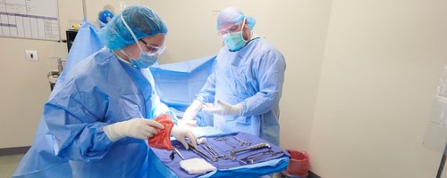 health-sciences-affinity-group health sciences affinity group decorative image.