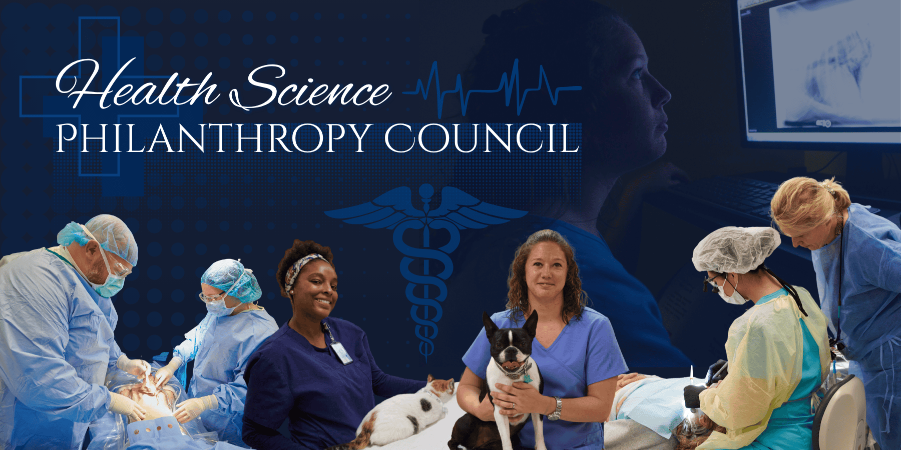 Decorative image of Health Science.