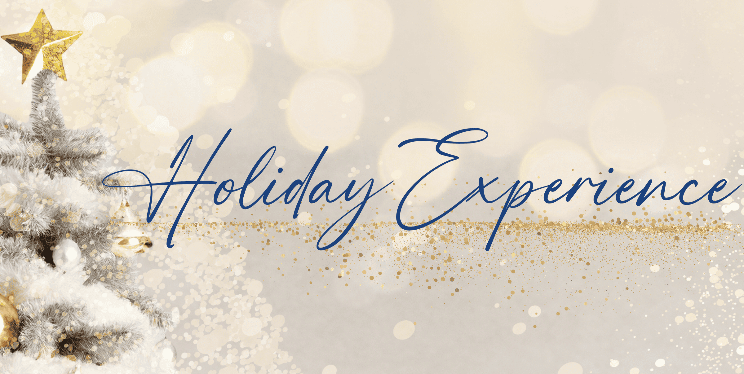 Holiday Experience decorative graphic